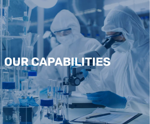Our Capabilities